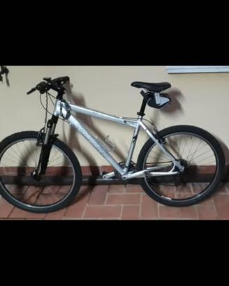 Mountain Bike Specialized 
