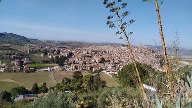 Casa in campagna con terreno