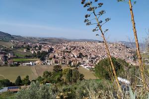 Casa in campagna con terreno