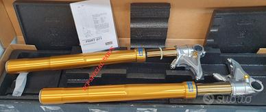 BMW S 1000 RR R NINE T FORCELLE OHLINS FGRT 811