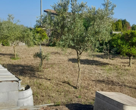 Terreno agricolo
