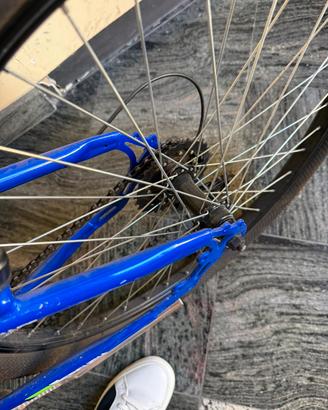 Bicicletta