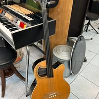 Basso acustico Warwick Fretless elettrificato