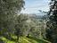 Immagine 24
