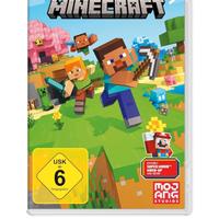 Minecraft x Nintendo switch 