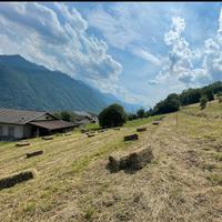 Balle di Fieno Rettangolari