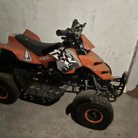 Mini quad raptor