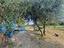 Immagine 7