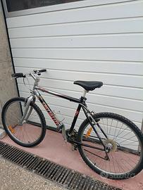 bicicletta specialaized 