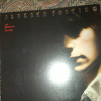 Disco vinile