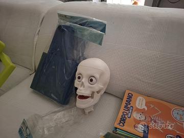 collezione incompleta del corpo umano parlante 