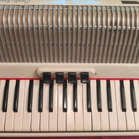Fisarmonica vintage