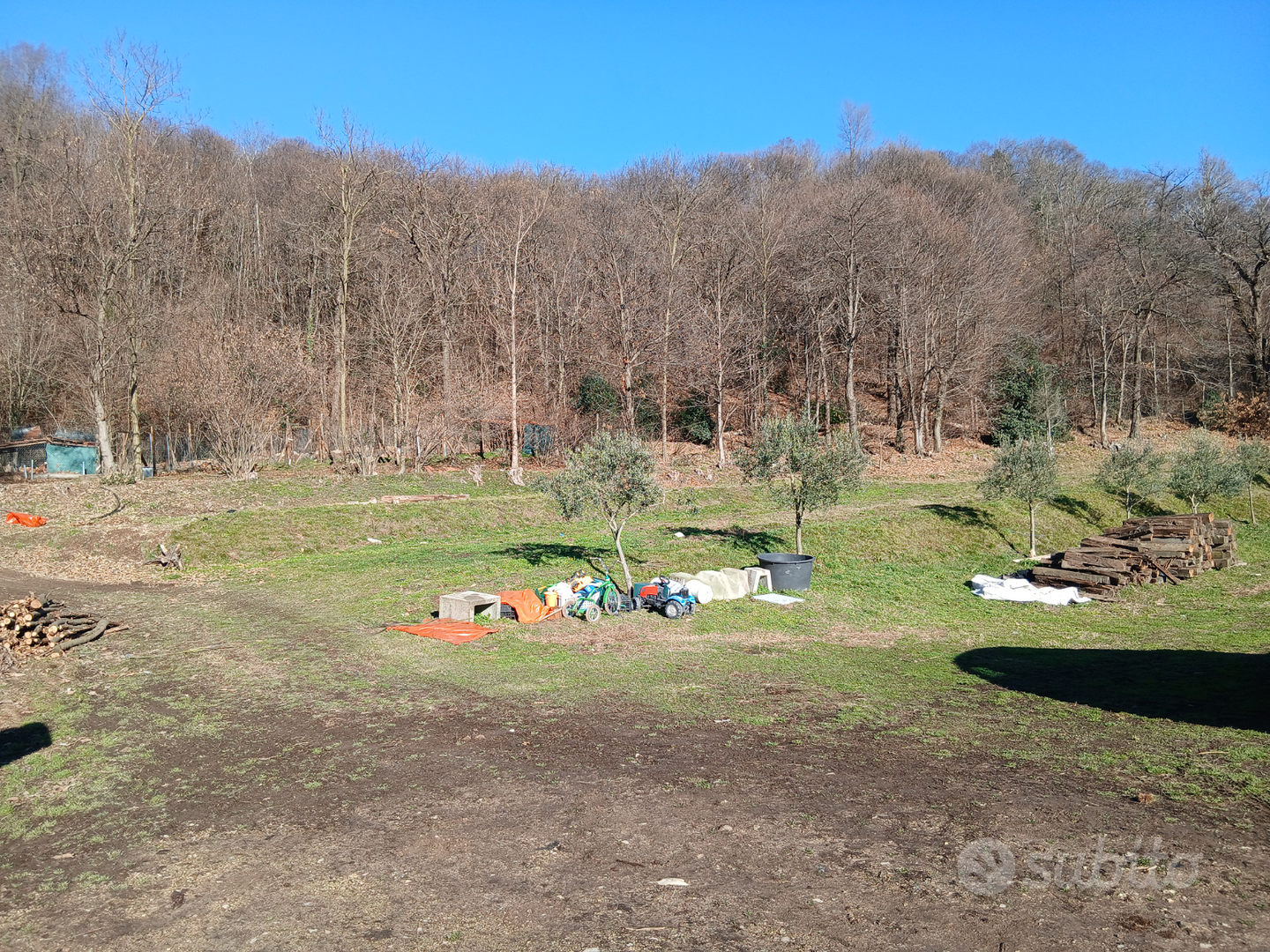 Terreno 3 ettari - Vista 3