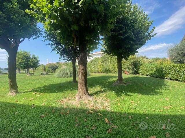 Appartamento – Casale sul Sile, San Michele - Vista 2