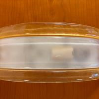 Applique dorata e bianca vetro di Murano