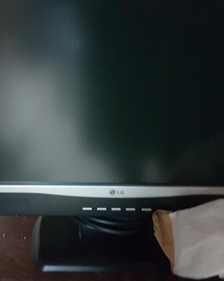 Monitor 14 pollici