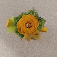 rosa stabilizzata gialla