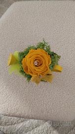 rosa stabilizzata gialla