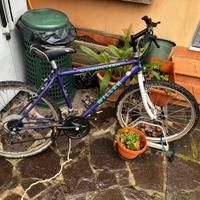 Mountain bike cordillera