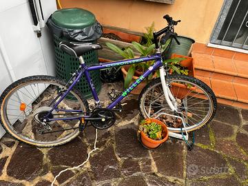 Mountain bike cordillera