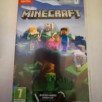 Minecraft switch