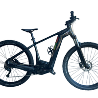 BERGAMONT E-REVOX | TG L | USATO 6038