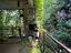 Immagine 24