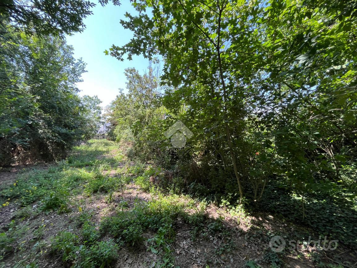 TER. AGRICOLO A SAN DANIELE PO - Altro