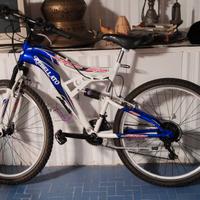 Bicicletta uomo