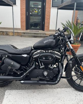 Harley-davidson 883 Iron