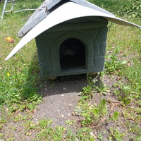 Cuccia per cane