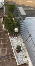 Sassi bianchi da giardino