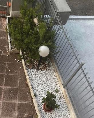 Sassi bianchi da giardino