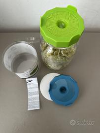 Coperchi Germogliazione Autoproduzione Germogli