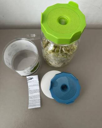 Coperchi Germogliazione Autoproduzione Germogli
