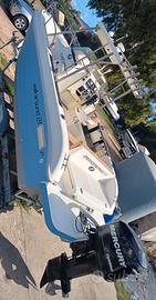 Barca walkaround 21 Mercury 175 hp