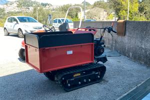 Motocarriola NUOVA AMA TAG600T MY25