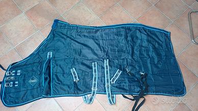 equitazione 