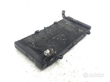 RADIATORE ACQUA LIQUIDO RAFFREDDAMENTO HONDA PAN E