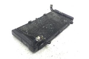 RADIATORE ACQUA LIQUIDO RAFFREDDAMENTO HONDA PAN E