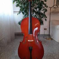 Violoncello