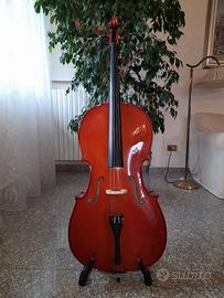 Violoncello