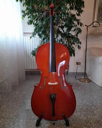 Violoncello