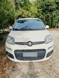 FIAT PANDA 1.2 Lounge Benzina