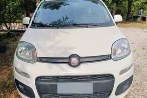 FIAT PANDA 1.2 Lounge Benzina