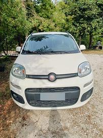 FIAT PANDA 1.2 Lounge Benzina