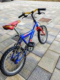 Bicicletta per bambina o bambino 