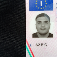 Autista corriere magazziniere carrellista