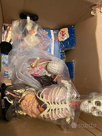 Esplorando il corpo umano collezione completa