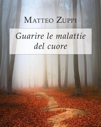GUARIRE LE MALATTIE DEL CUORE Matteo Zuppi